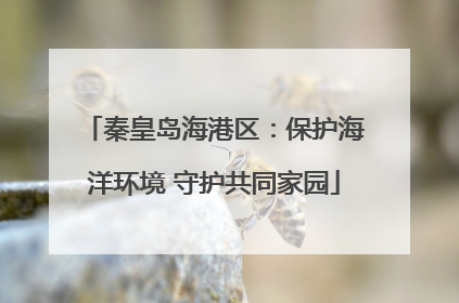 秦皇岛海港区：保护海洋环境 守护共同家园