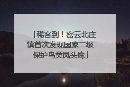 稀客到！密云北庄镇首次发现国家二级保护鸟类凤头鹰