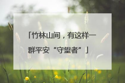 竹林山间，有这样一群平安“守望者”