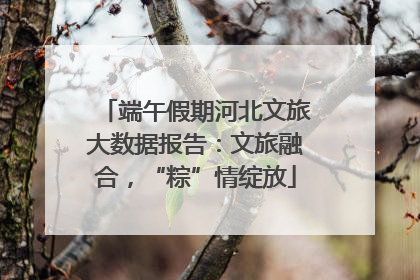端午假期河北文旅大数据报告：文旅融合，“粽”情绽放