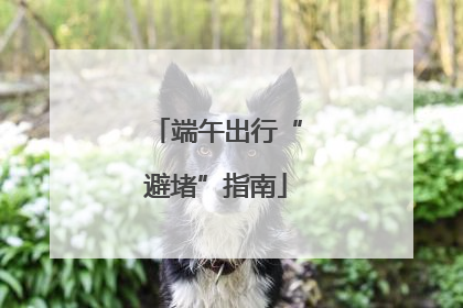 端午出行“避堵”指南