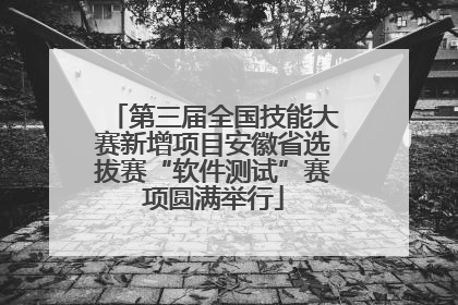 第三届全国技能大赛新增项目安徽省选拔赛“软件测试”赛项圆满举行