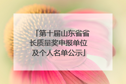 第十届山东省省长质量奖申报单位及个人名单公示
