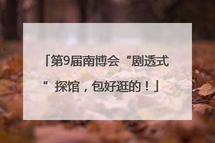 第9届南博会“剧透式”探馆，包好逛的！
