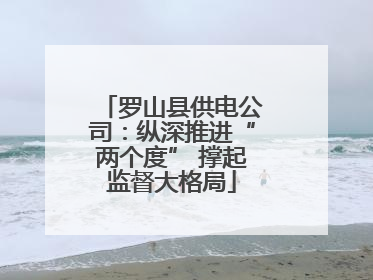罗山县供电公司：纵深推进“两个度” 撑起监督大格局