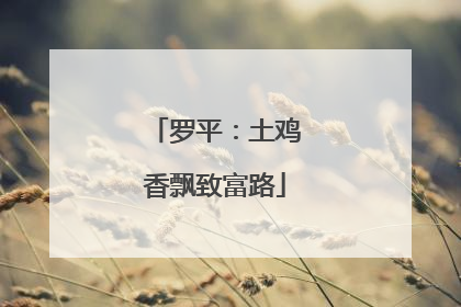 罗平：土鸡香飘致富路