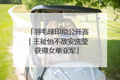 羽毛球印尼公开赛｜王祉怡不敌安洗莹 获得女单亚军