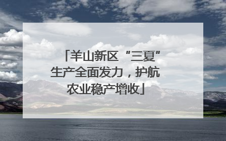 羊山新区“三夏”生产全面发力，护航农业稳产增收