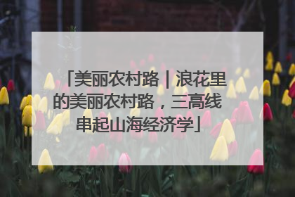 美丽农村路｜浪花里的美丽农村路，三高线串起山海经济学
