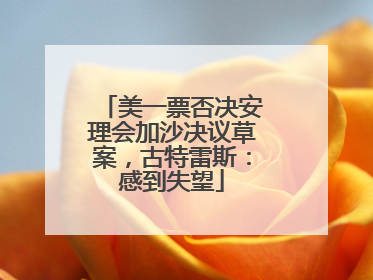美一票否决安理会加沙决议草案，古特雷斯：感到失望