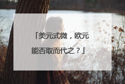 美元式微，欧元能否取而代之？