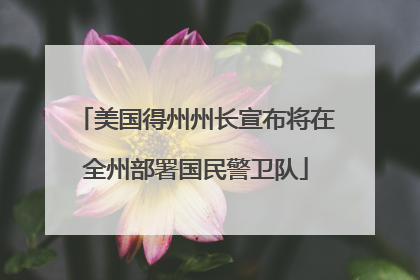 美国得州州长宣布将在全州部署国民警卫队