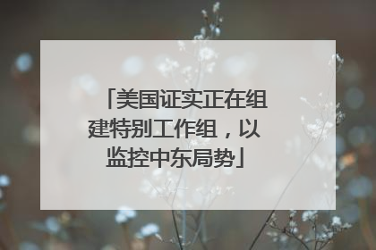 美国证实正在组建特别工作组，以监控中东局势