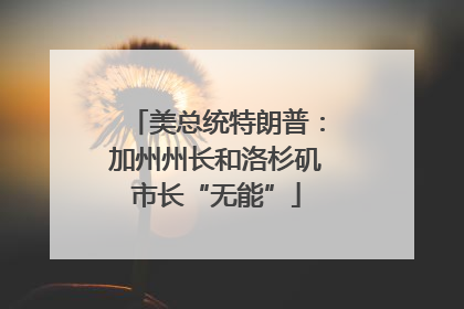 美总统特朗普：加州州长和洛杉矶市长“无能”