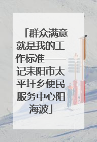 群众满意就是我的工作标准——记耒阳市太平圩乡便民服务中心阳海波