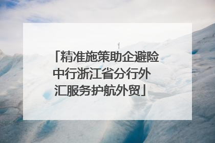 精准施策助企避险 中行浙江省分行外汇服务护航外贸