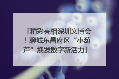 精彩亮相深圳文博会！聊城东昌府区“小葫芦”焕发数字新活力