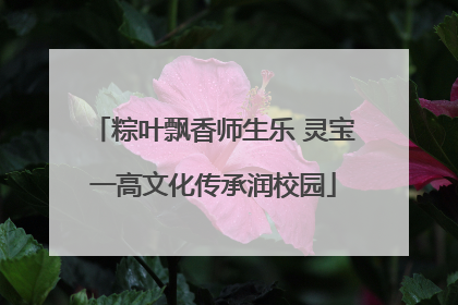粽叶飘香师生乐 灵宝一高文化传承润校园