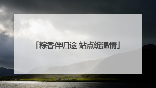 粽香伴归途 站点绽温情