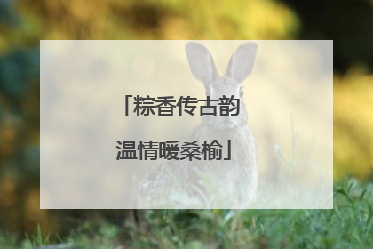 粽香传古韵 温情暖桑榆