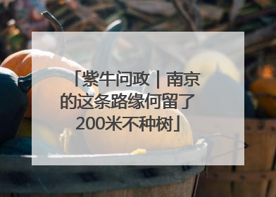 紫牛问政｜南京的这条路缘何留了200米不种树