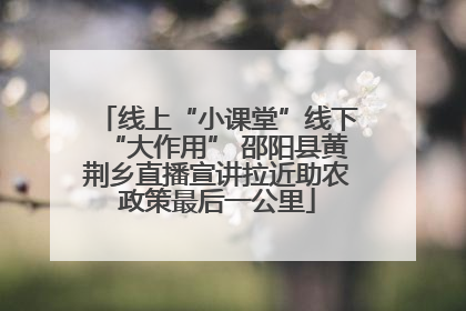 线上“小课堂”线下“大作用” 邵阳县黄荆乡直播宣讲拉近助农政策最后一公里