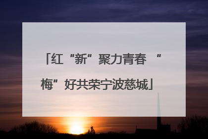 红“新”聚力青春 “梅”好共荣宁波慈城