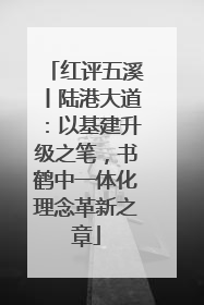 红评五溪丨陆港大道：以基建升级之笔，书鹤中一体化理念革新之章