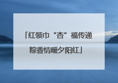 红领巾“杏”福传递 粽香情暖夕阳红