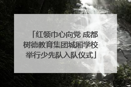 红领巾心向党 成都树德教育集团城厢学校举行少先队入队仪式
