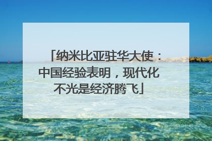 纳米比亚驻华大使：中国经验表明，现代化不光是经济腾飞