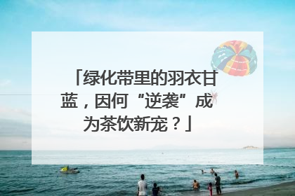 绿化带里的羽衣甘蓝，因何“逆袭”成为茶饮新宠？