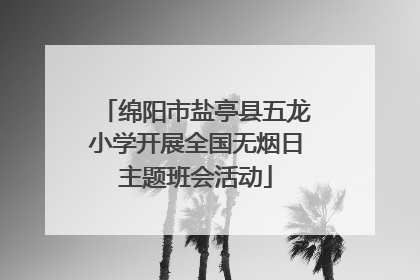 绵阳市盐亭县五龙小学开展全国无烟日主题班会活动