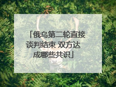 俄乌第二轮直接谈判结束 双方达成哪些共识