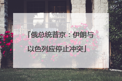 俄总统普京：伊朗与以色列应停止冲突