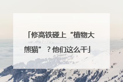 修高铁碰上“植物大熊猫”？他们这么干