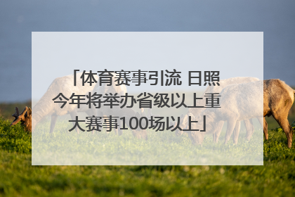 体育赛事引流 日照今年将举办省级以上重大赛事100场以上