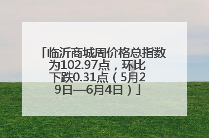 临沂商城周价格总指数为102.97点，环比下跌0.31点（5月29日—6月4日）