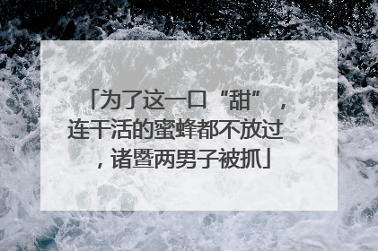 为了这一口“甜”，连干活的蜜蜂都不放过，诸暨两男子被抓