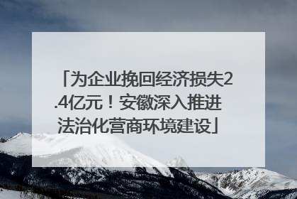 为企业挽回经济损失2.4亿元！安徽深入推进法治化营商环境建设