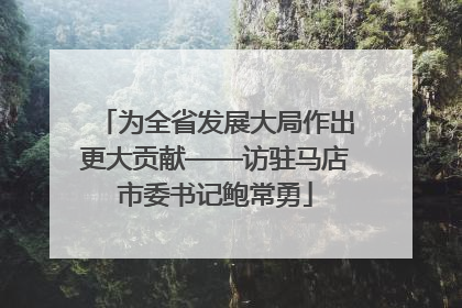 为全省发展大局作出更大贡献——访驻马店市委书记鲍常勇