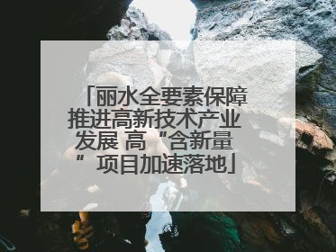 丽水全要素保障推进高新技术产业发展 高“含新量”项目加速落地