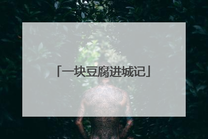 一块豆腐进城记