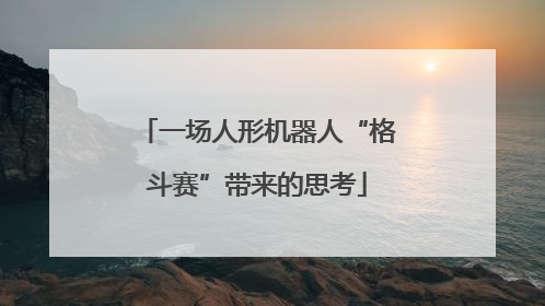 一场人形机器人“格斗赛”带来的思考