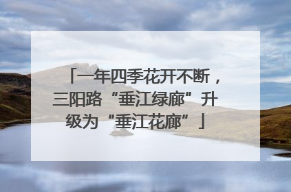 一年四季花开不断，三阳路“垂江绿廊”升级为“垂江花廊”