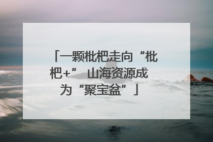 一颗枇杷走向“枇杷+” 山海资源成为“聚宝盆”