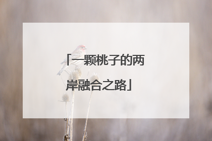 一颗桃子的两岸融合之路