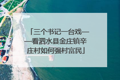 三个书记一台戏——看泗水县金庄镇辛庄村如何强村富民