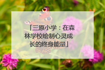 三原小学：在森林学校绘制心灵成长的终身能量