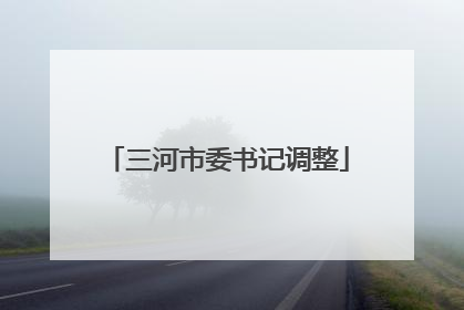 三河市委书记调整
